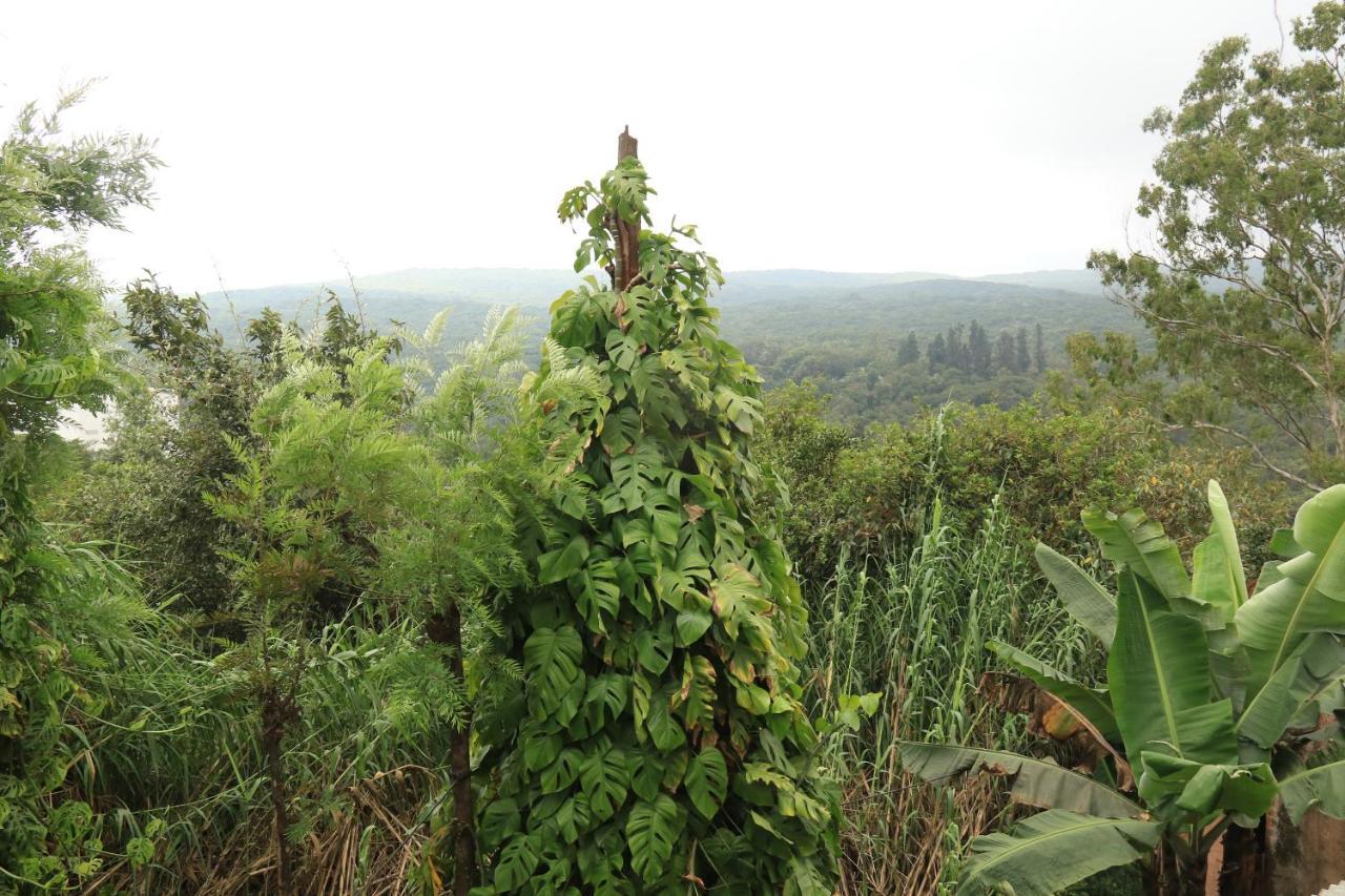 Forest Inn Mahabaleshwar Exterior photo